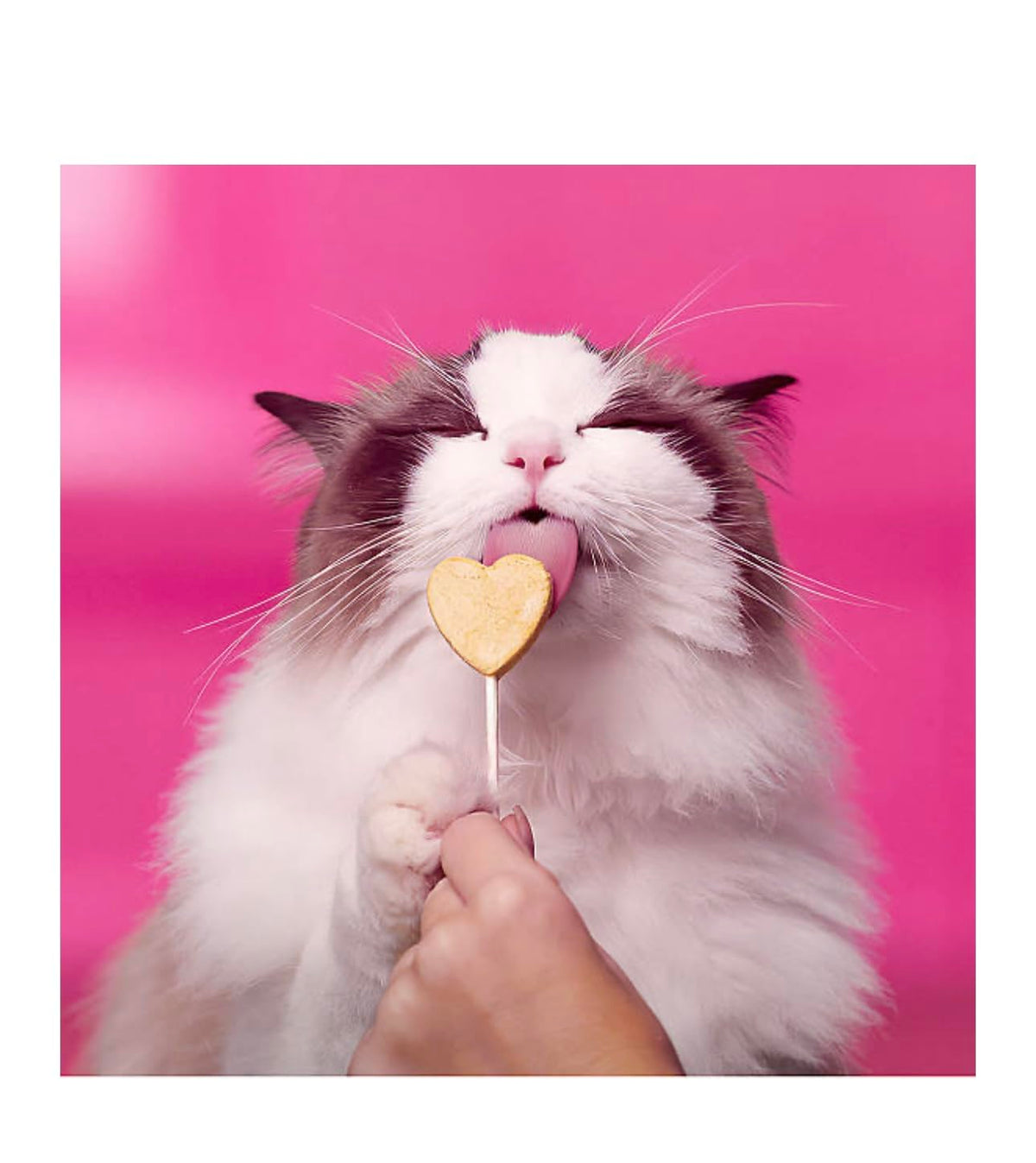 Bonkers Purr Pops Tip Top Tuna Lickable Cat Treats, Freeze-Dried Meat, 4 Count, 2 Pack (8 Pieces)