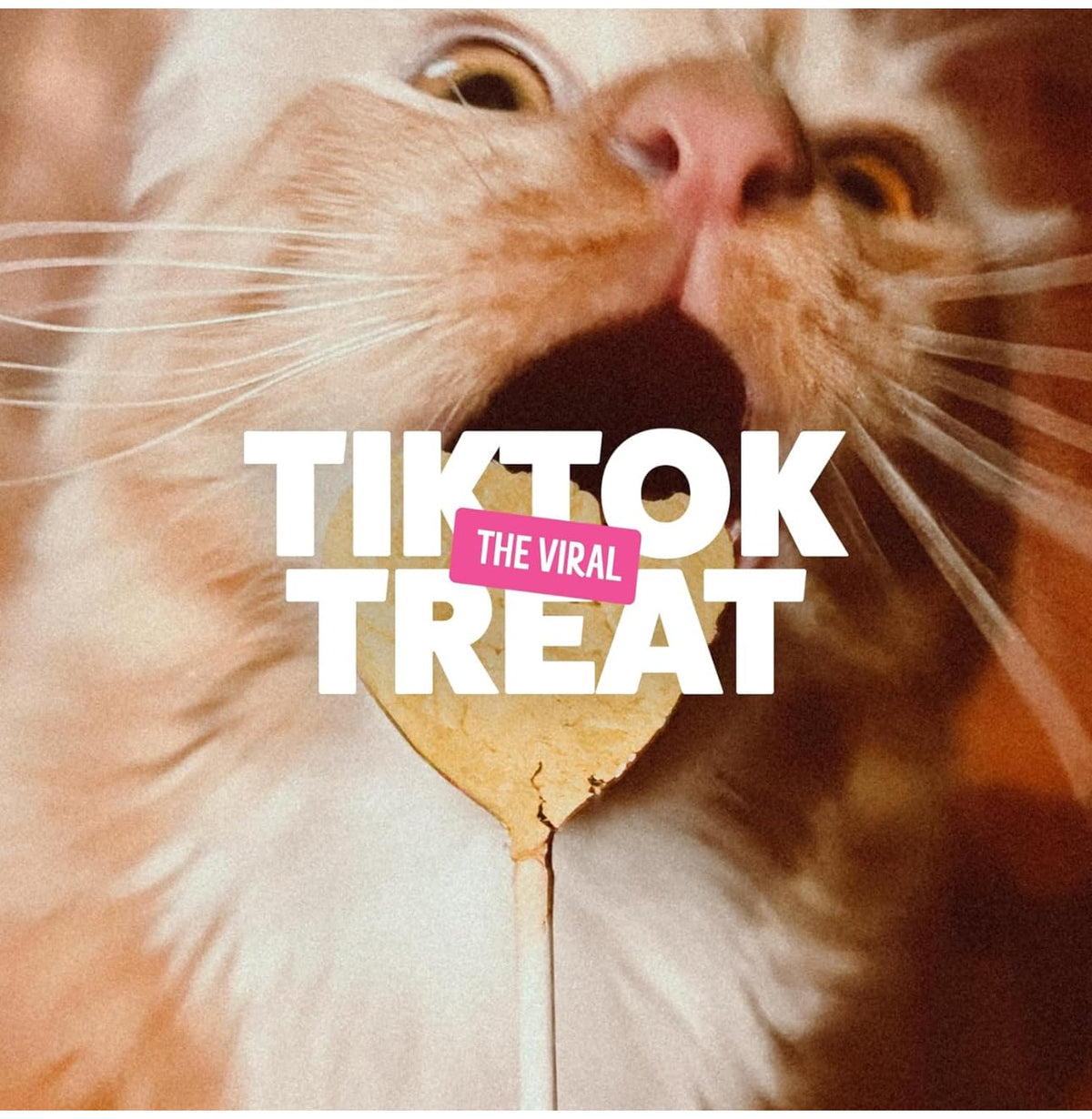 Bonkers Purrpops, Freeze Dried Salmon Flavored Lollipop Cat Treats, Cat Treats, Treats for Training, for All Breeds and Ages, Food Topper (8 Pieces) 2-Pack