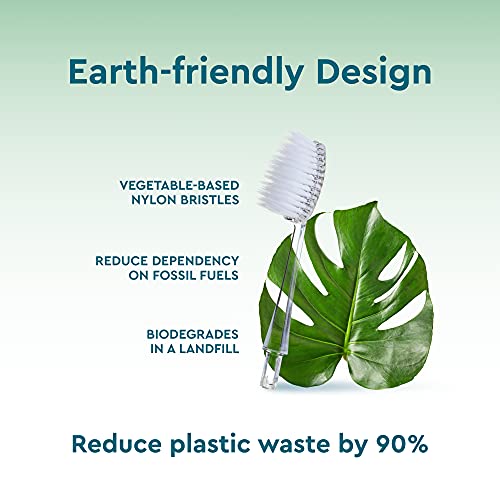 RADIUS Toothbrush Replacement Head for Big Brush and Source Soft Pack BPA Free and ADA Accepted Designed to Improve Gum Health and Reduce The Risk of Gum Disease, Clear, 6 Count