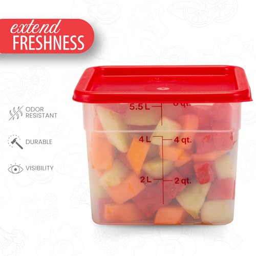Cambro Food Storage Containers - Classic Series (Translucent)