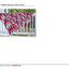 Red Heart Super Saver Yarn (4-Pack of 5oz Skeins) (Americana)