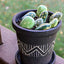 DecoArt Patio Paint Outdoor Acrylic