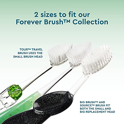 RADIUS Toothbrush Replacement Head for Big Brush and Source Soft Pack BPA Free and ADA Accepted Designed to Improve Gum Health and Reduce The Risk of Gum Disease, Clear, 6 Count