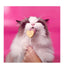 Bonkers Purr Pops Tip Top Tuna Lickable Cat Treats, Freeze-Dried Meat, 4 Count, 2 Pack (8 Pieces)