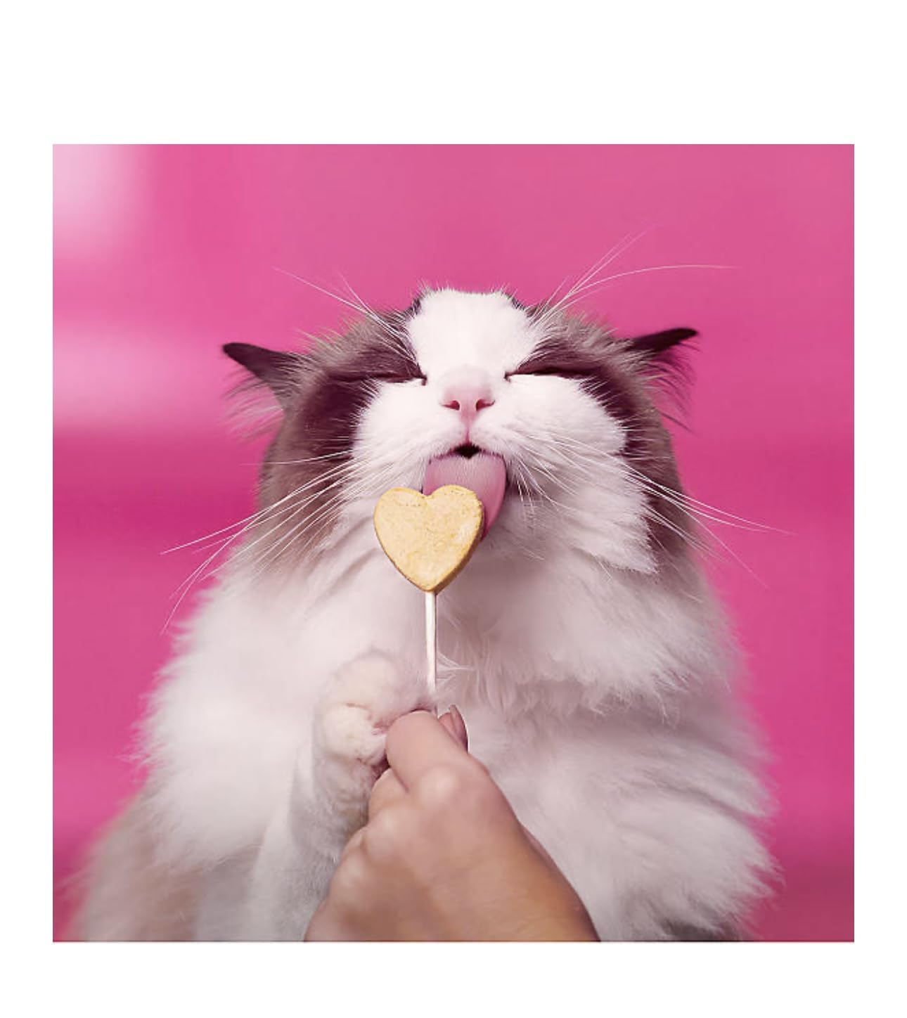 Bonkers Purr Pops Tip Top Tuna Lickable Cat Treats, Freeze-Dried Meat, 4 Count, 2 Pack (8 Pieces)