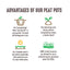 Jiffy Seed Starting 5" Biodegradable Peat Pots