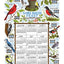KAYDEE-CALENDTOWEL26-SONGBIRD-1PACK