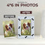 Mission Gallery 4x6 Dog Picture Frame - Pet Sympathy, Remembrance, Memory, Loss - Cute Memorial Gift for Passed Dog and Cat - Dogs Gifts Frames