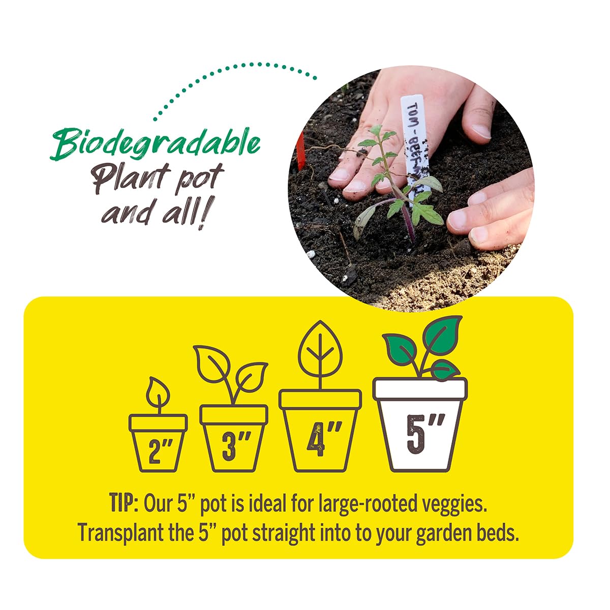 Jiffy Seed Starting 5" Biodegradable Peat Pots