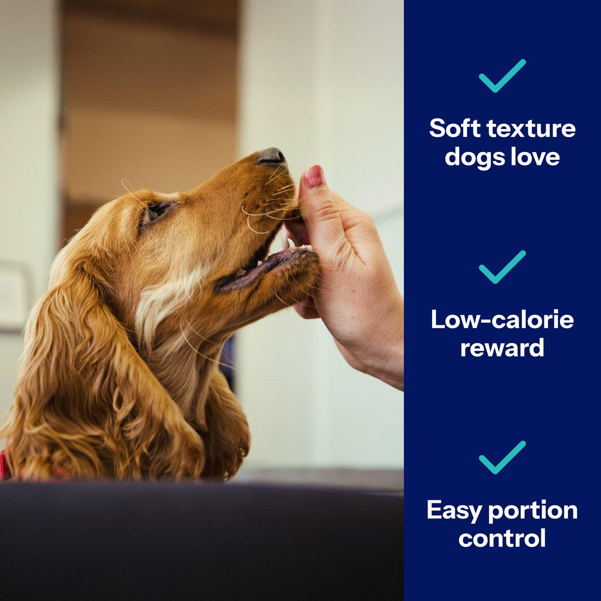 Covetrus Nutrisential Lean Treats for Dogs - Small, Medium & Large Dogs (K9) - Parent