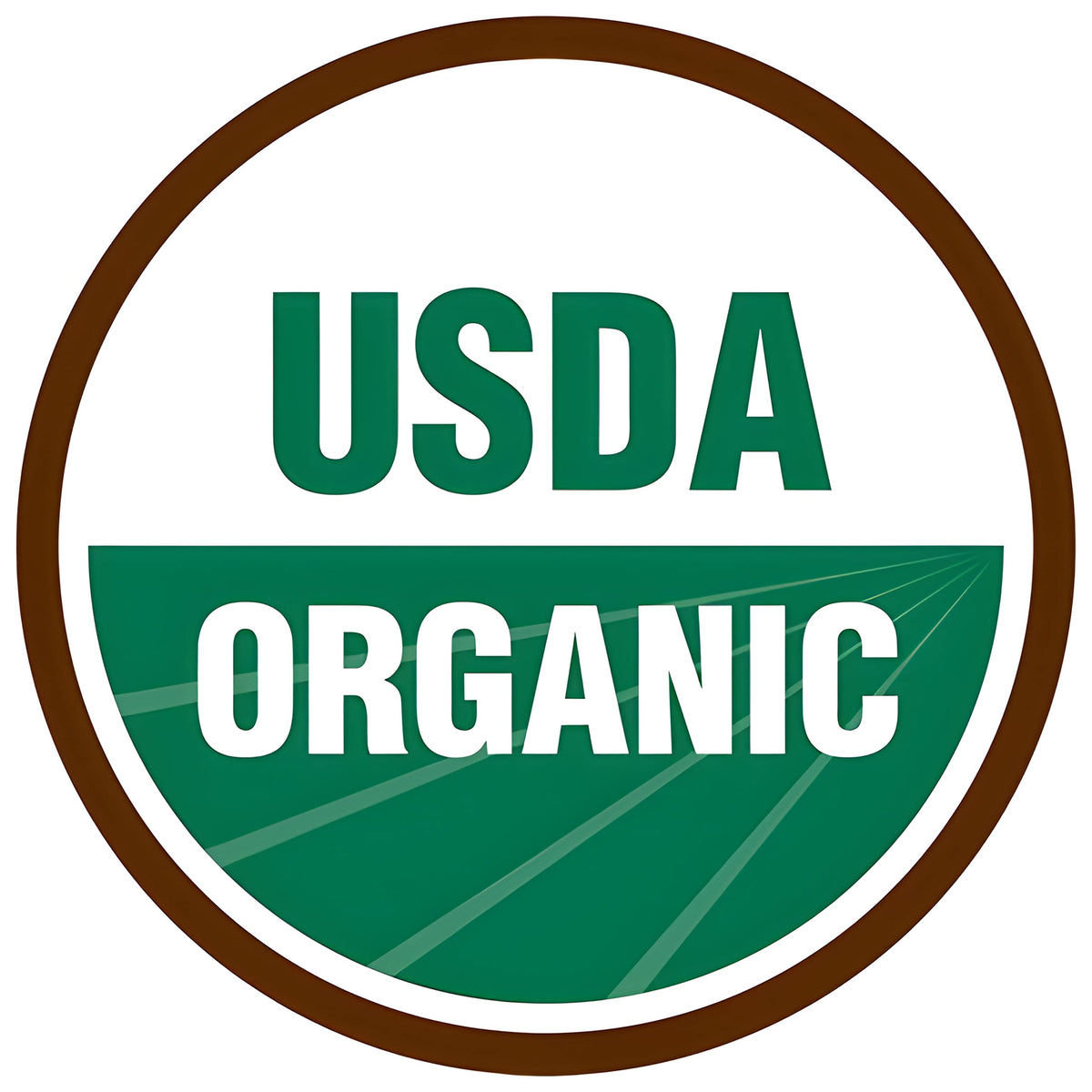 PureLiving Sprouted Organic Millet Grain Non-GMO - 15 Ounce Bag - Considered One of the Most Easily-Digestible Grains