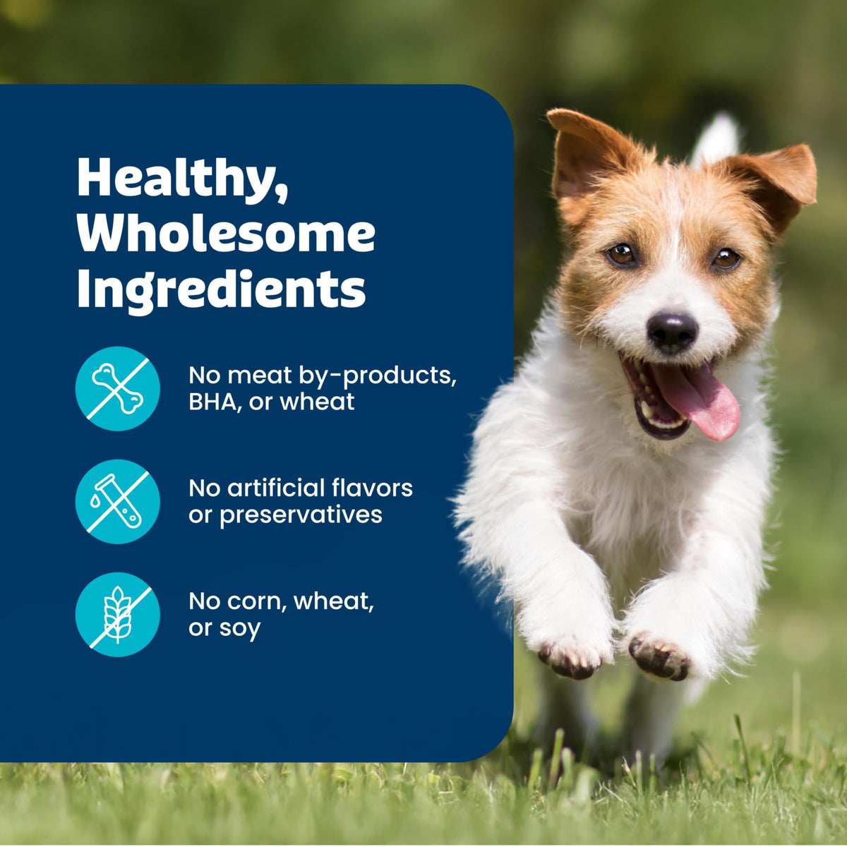 Blue Buffalo Health Bars Natural Crunchy Dog Treats Biscuits