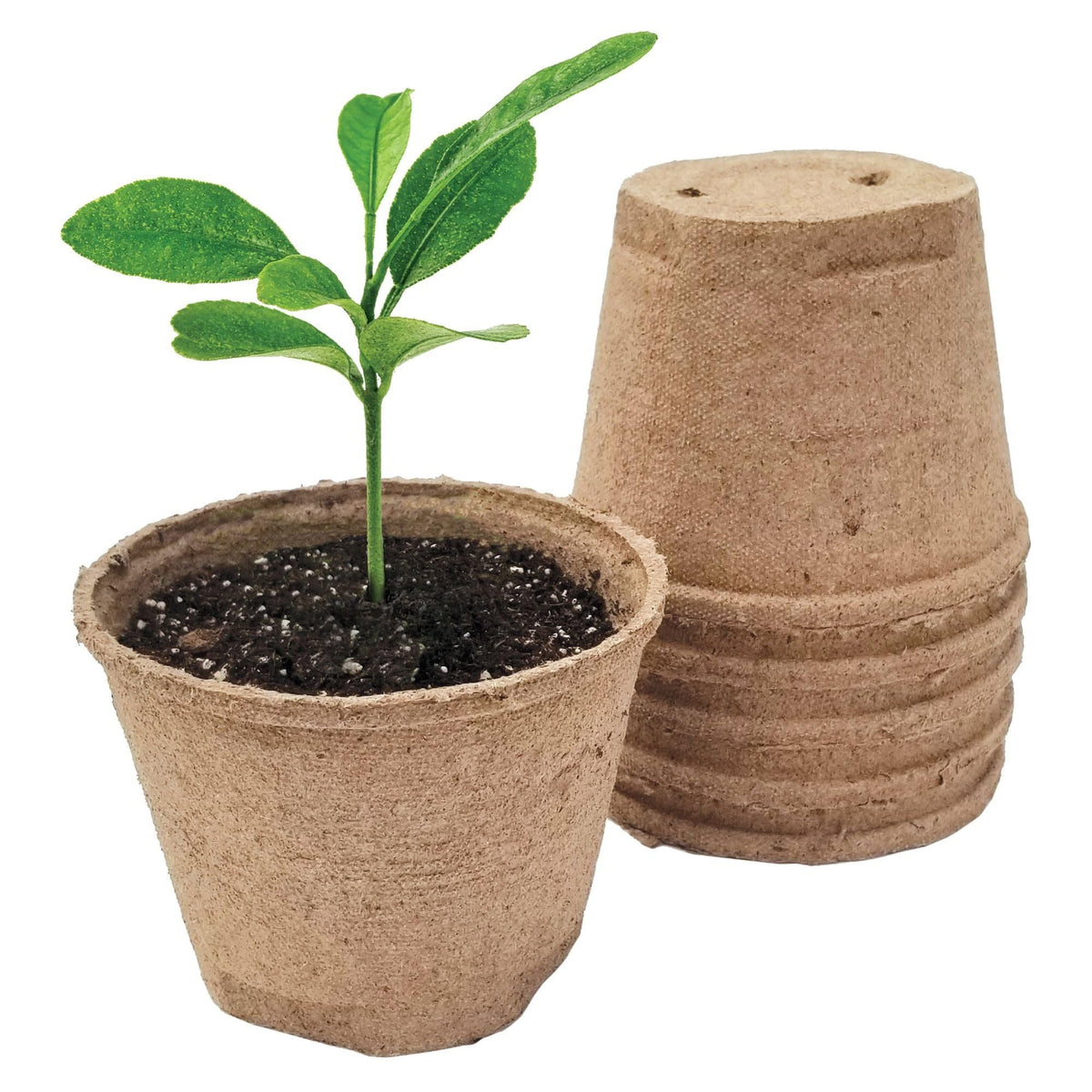 Jiffy Seed Starting 5" Biodegradable Peat Pots