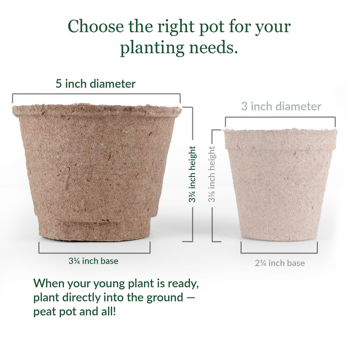 Jiffy Seed Starting 5" Biodegradable Peat Pots